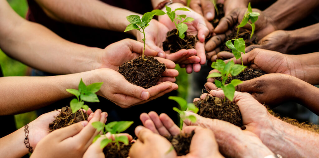 group of hands holding plants to show sustainability in manufacturing