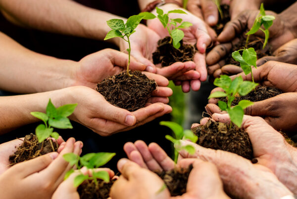 group of hands holding plants to show sustainability in manufacturing